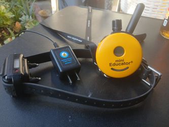 Shock collar