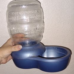 Cat Water Dish