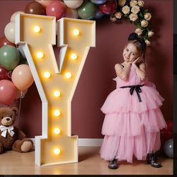 Light Up Letter Y Marquee $20