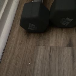 15lb Dumbbell Set 