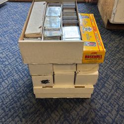Sports Card Collection 