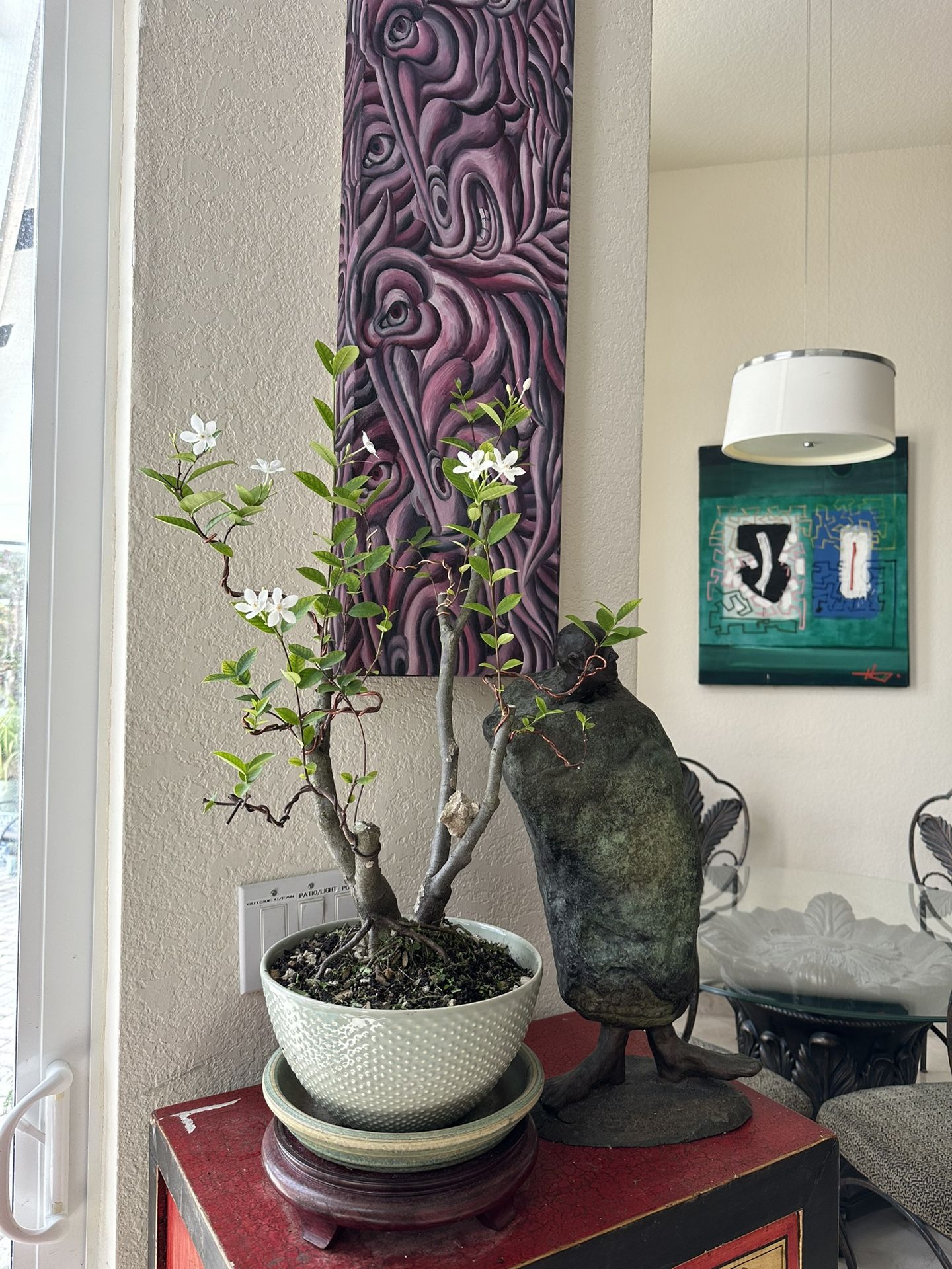 Jazmine Bonsai