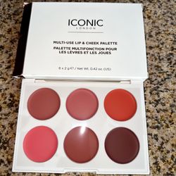 MULTICHEEK Lip And Cheek Pallet 