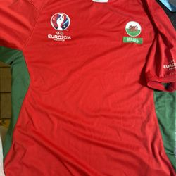 Wales kit