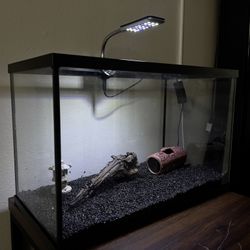 5 Gallon Tank
