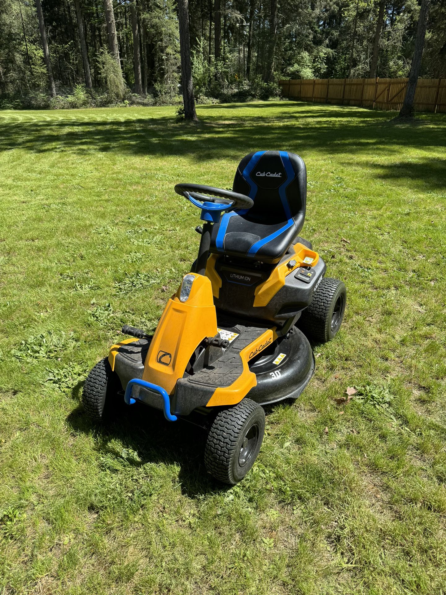 Cub Cadet Electric Riding Mower, Delivery Available!