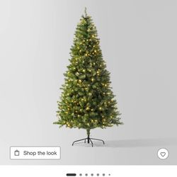 Christmas Tree 🌲 