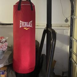 Punching Bag