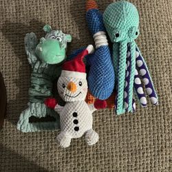 Dog Toys