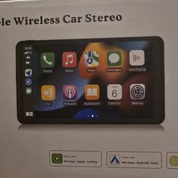 Portable wireless Car Stereo