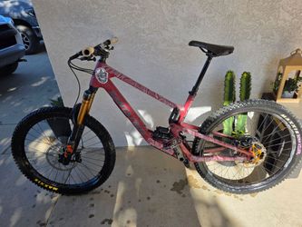 Santa cruz 5010 size large