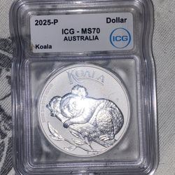 2025 P ICGMS 70 Australia koala