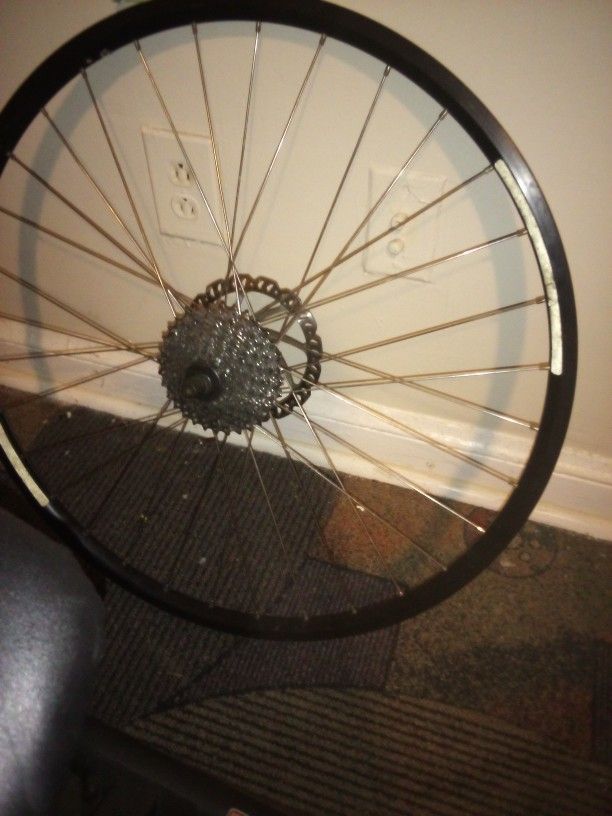 Bike Rims