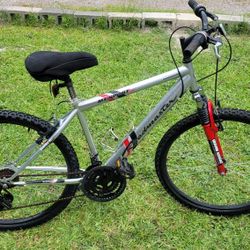 Roamaster mountainBike