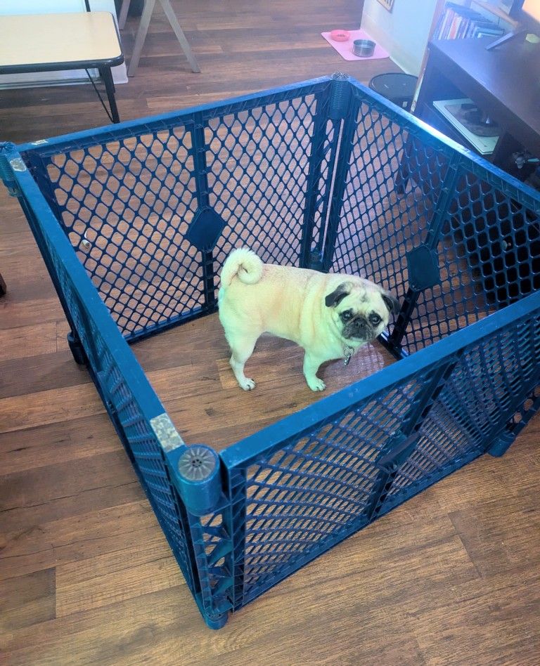 Dog Gate (or Baby Gate) 16.5 Foot Pet Yard