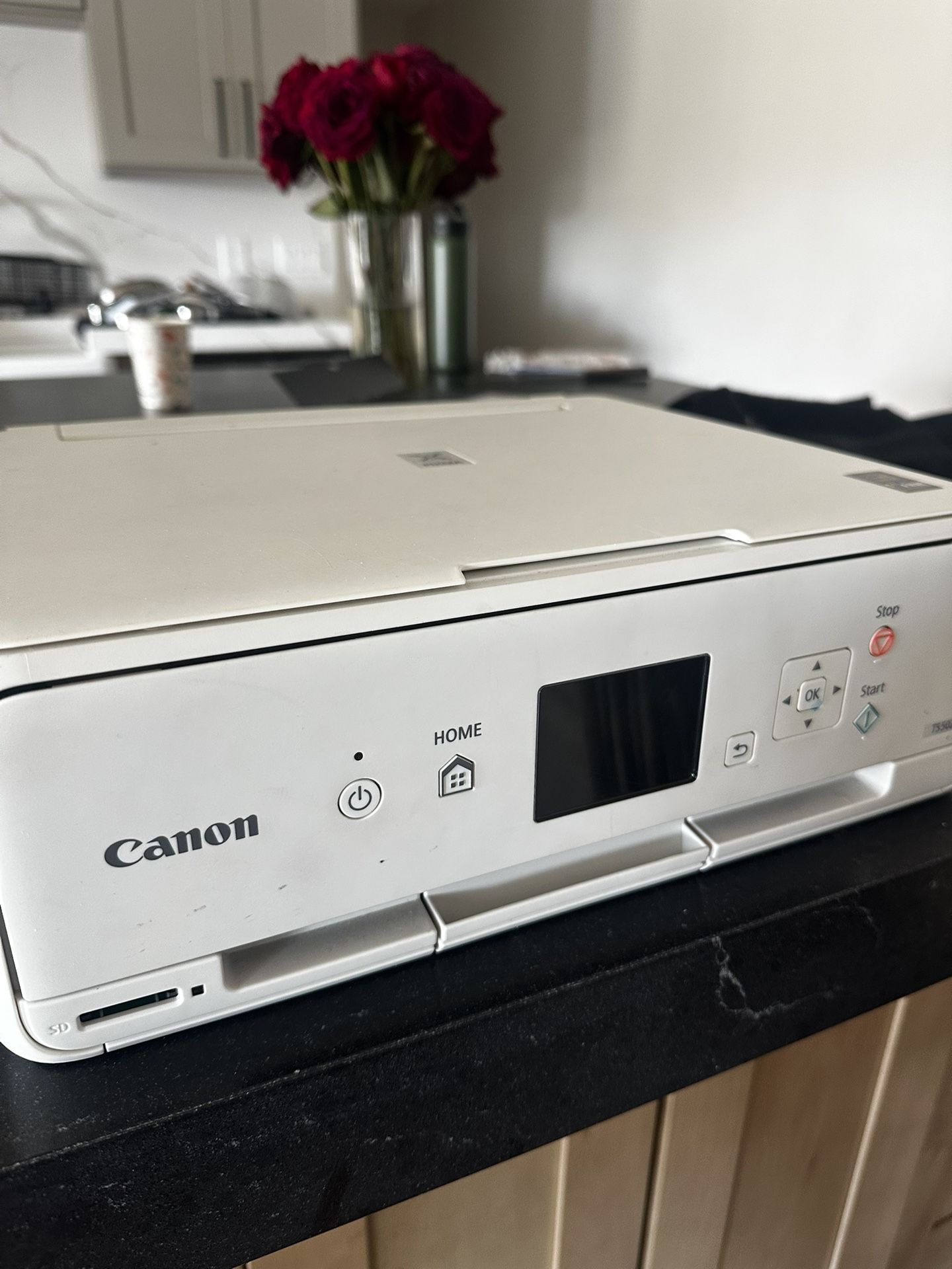 Canon TS5020 Printer