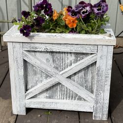 Planter Boxes 