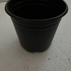 Planters Pot 2 Gallon - 30