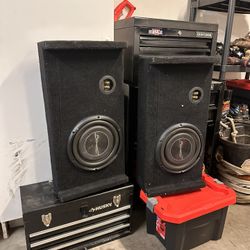 10 Inch Subwoofer / Shallow Box 