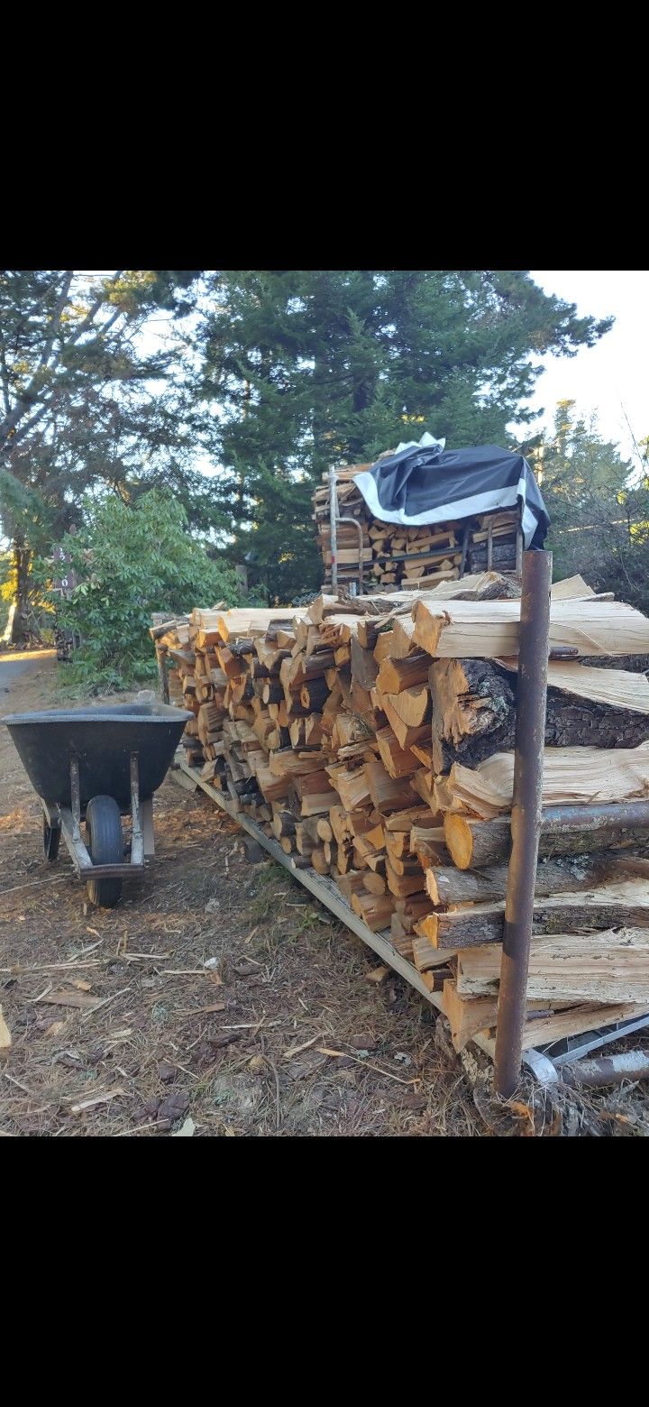 Firewood Dry Ready To Burn