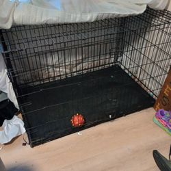 Large Animal Crate