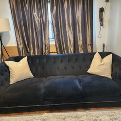 Navy Blue Couch