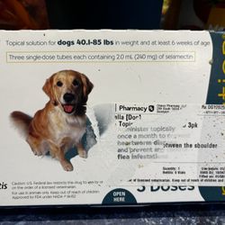 Revolution 40.1 To 85lb Dog