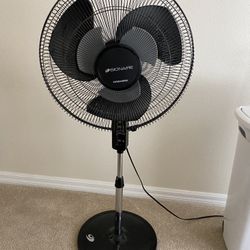 Pedestal Fan 