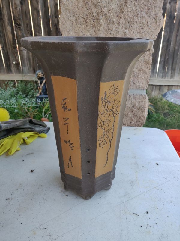 Cascade Bonsai Pot for Sale in Anaheim, CA - OfferUp
