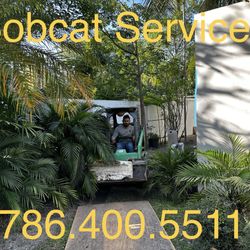 BOBCAT S.3.R.V1.C.3