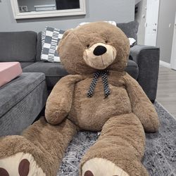 Big Teddy Bear
