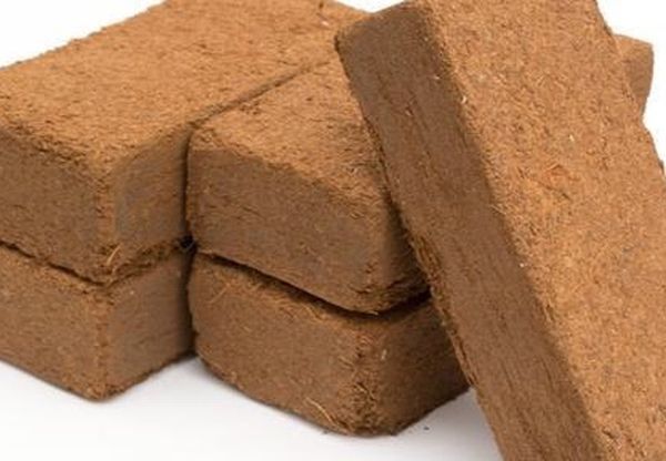 Coir - CoCo Fiber Blocks - Perfect For All Your Gardening & Landscaping Needs - 11 LB Blocks