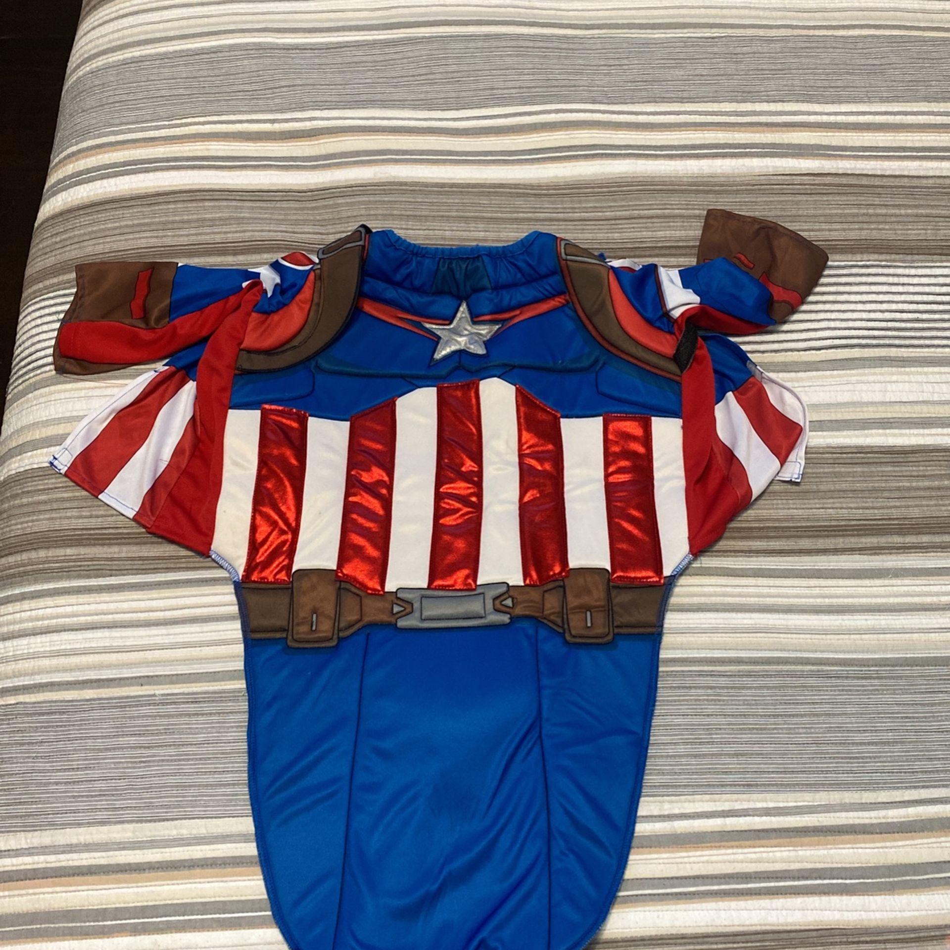Captain America Dog’s custome