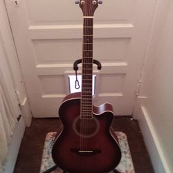 Selling A New Acoustic Guitar With Case...