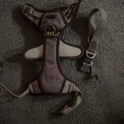Reddy Harness And Collar