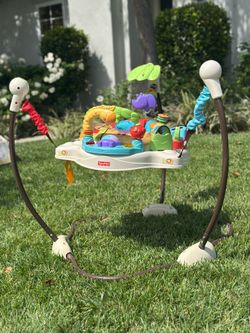 FisherPrice Luv U Zoo Jumperoo