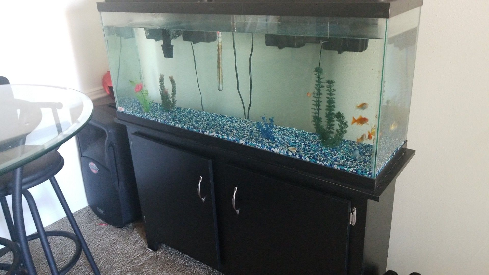 55 gallon Tank and stand