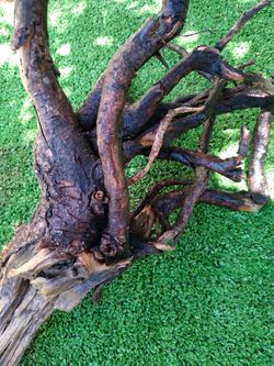 Driftwood For Aquariums Terrariums Decor