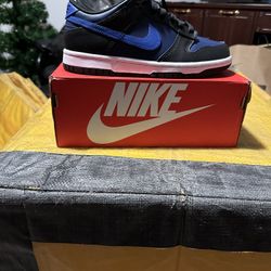 Nike Blue Dunk