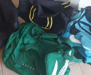 Gym Bags  , Brand Names , They Never Been Use, In Perfect Condition, And  Large Capacity . 10 .dollars Each.