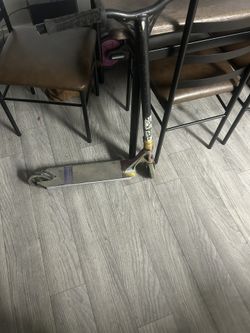 Envy Scooter
