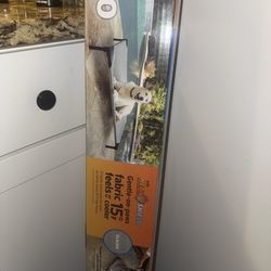 Bed for dogs
