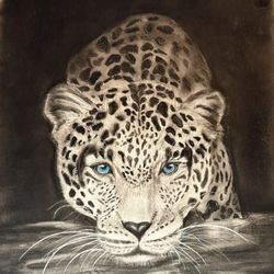 Leopard Pencil Art