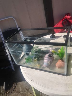 New And Used Fish Tank Decorations For Sale In Fort Myers Fl