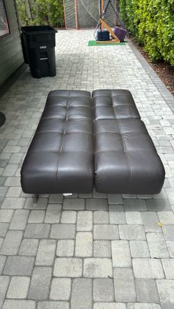 Euro lounger