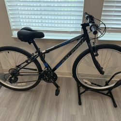 Raleigh 26” Mountain Bike