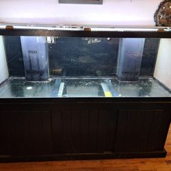 180 gallon Tank, Stand, Filter and lights.