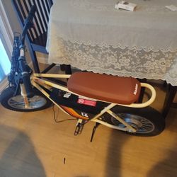 Electric Scooter 