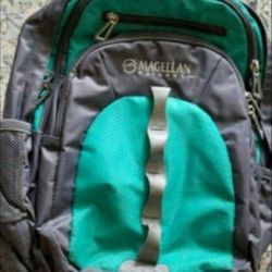Magellan Outdoor Backpack.  Color  - Light Green and Grey