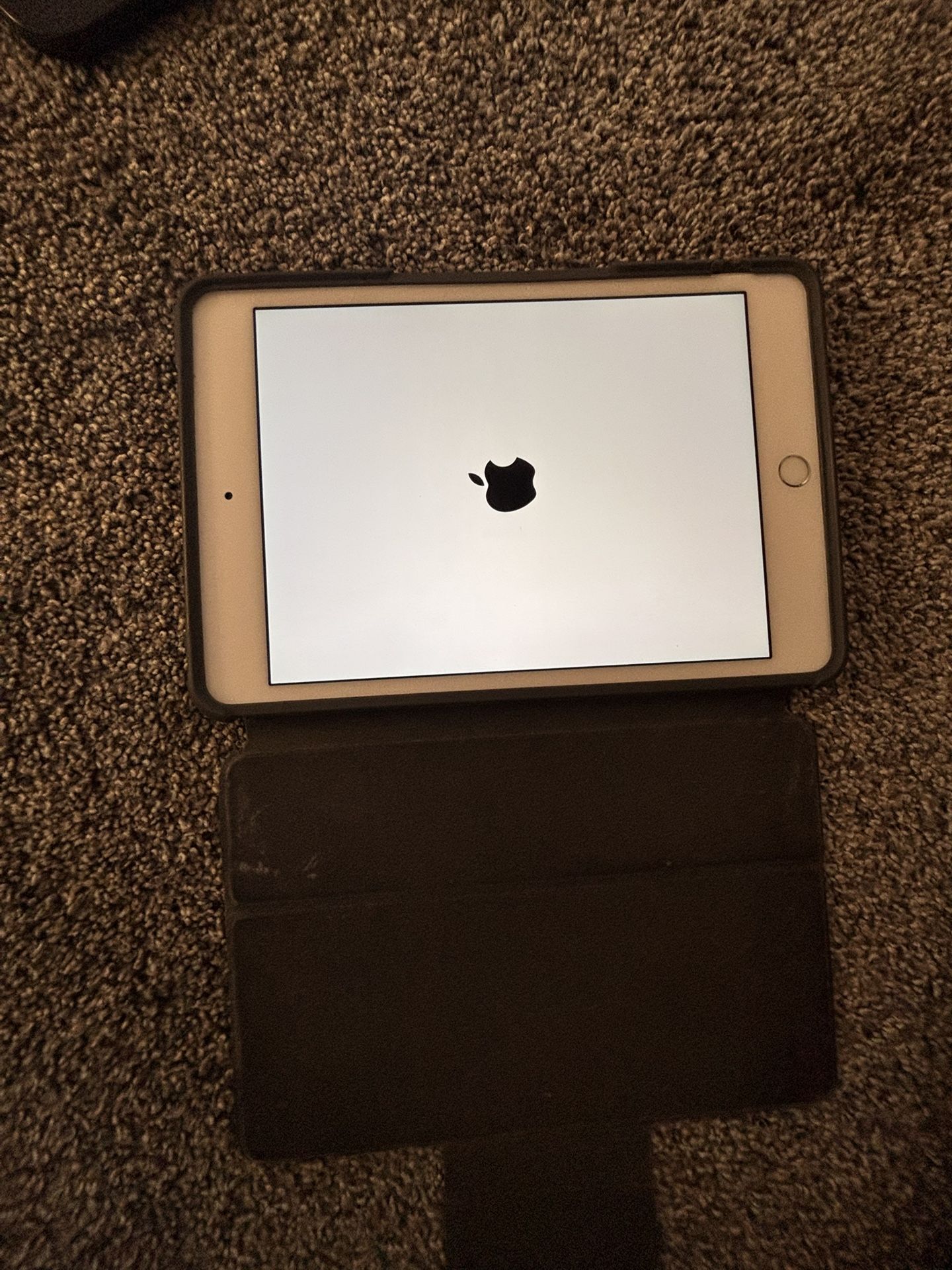 I Pad Mini 4 Working Condition